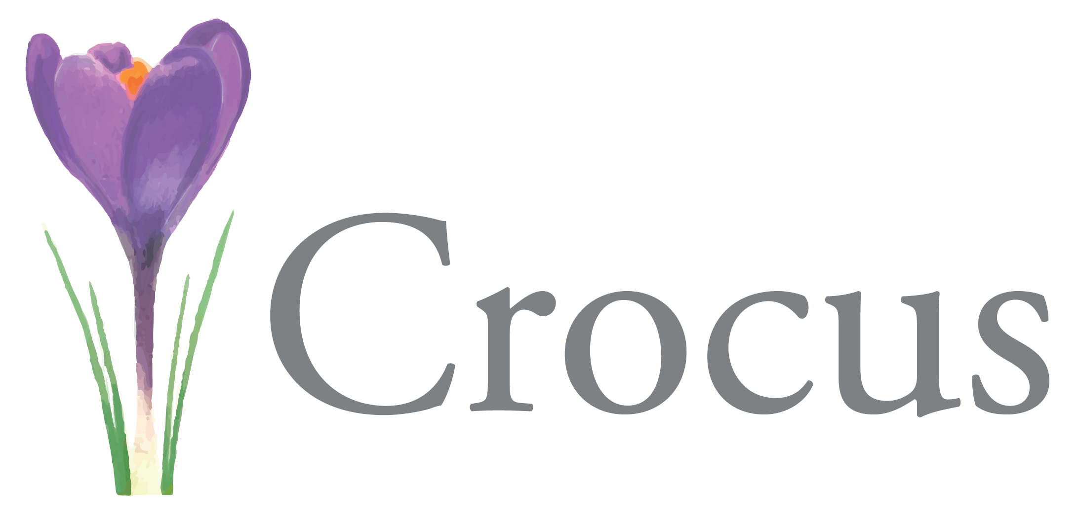Crocus Image PNG Image