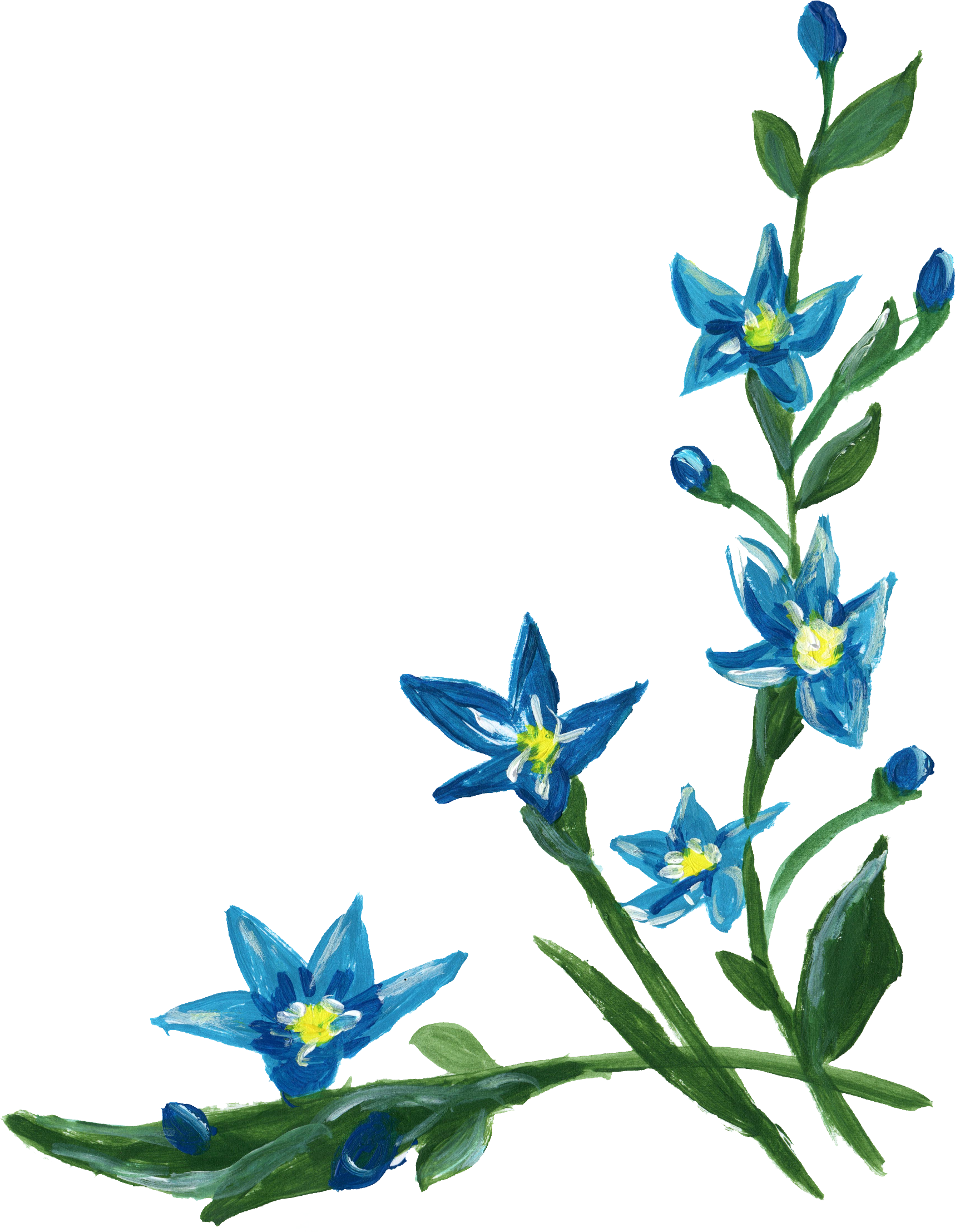 Blue Flower Border Free Transparent Image HD PNG Image