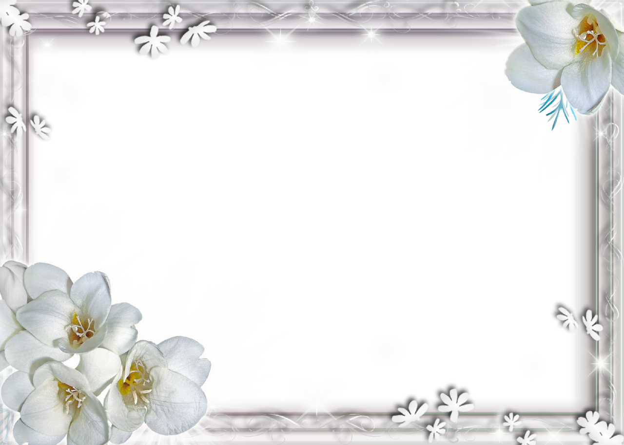 File White Flower Frame Wallpaper PNG File HD PNG Image