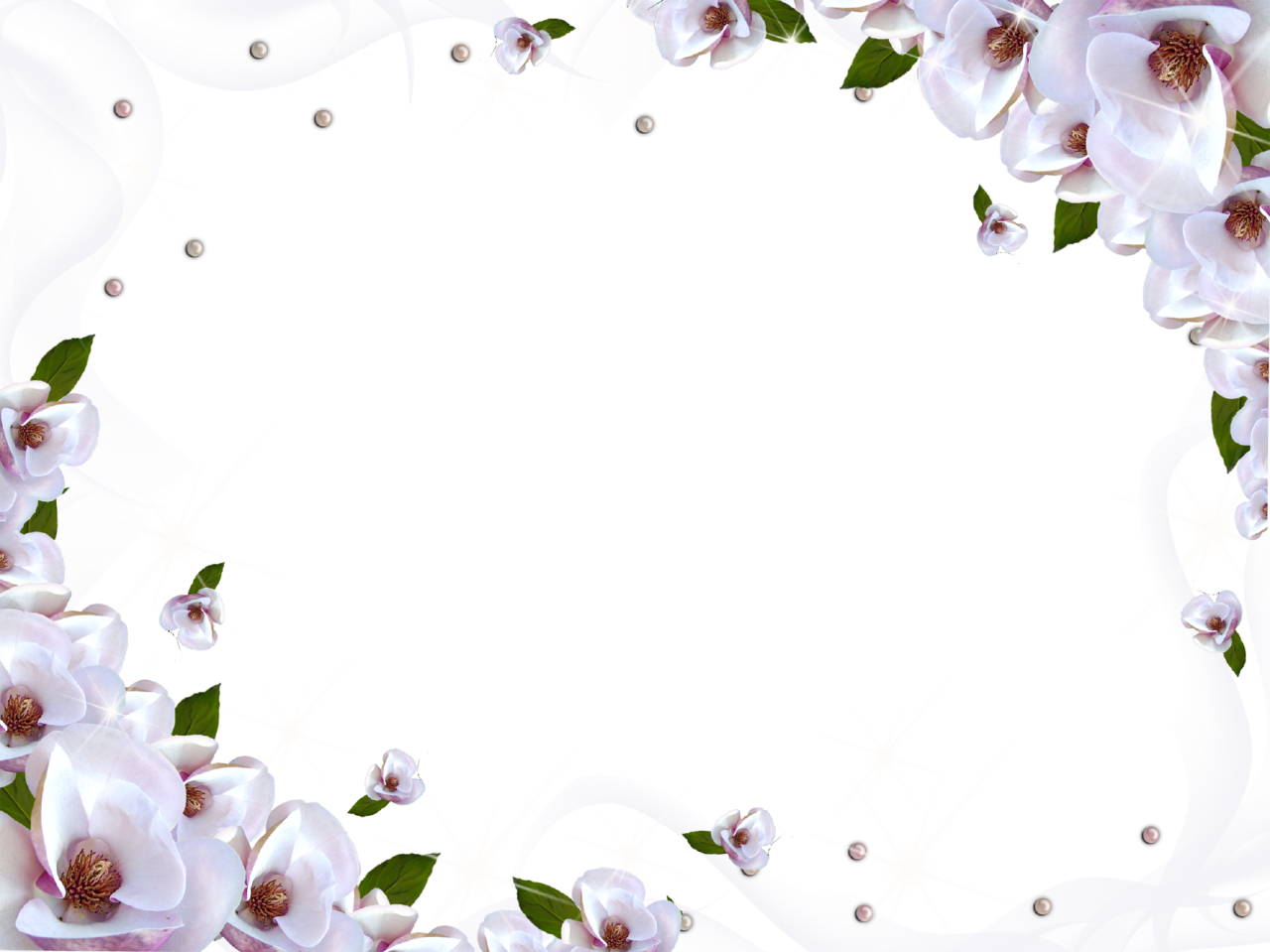 White Flower Frame Wallpaper Download Free Image PNG Image