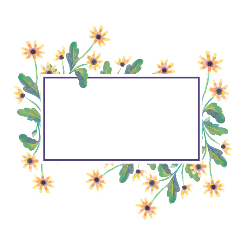 Chrysanthemum Frame Vector Flower Illustration PNG File HD PNG Image