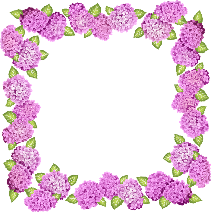 Purple Picture Frame Flower Free PNG HQ PNG Image