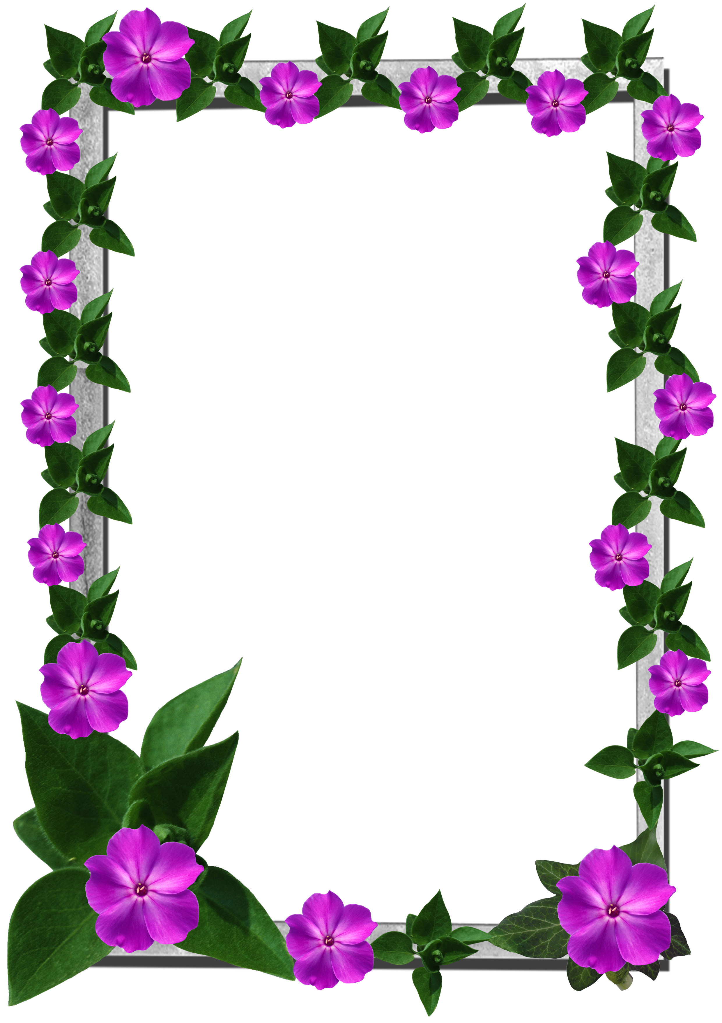 Frames Picture Frame Flower HD Image Free PNG PNG Image