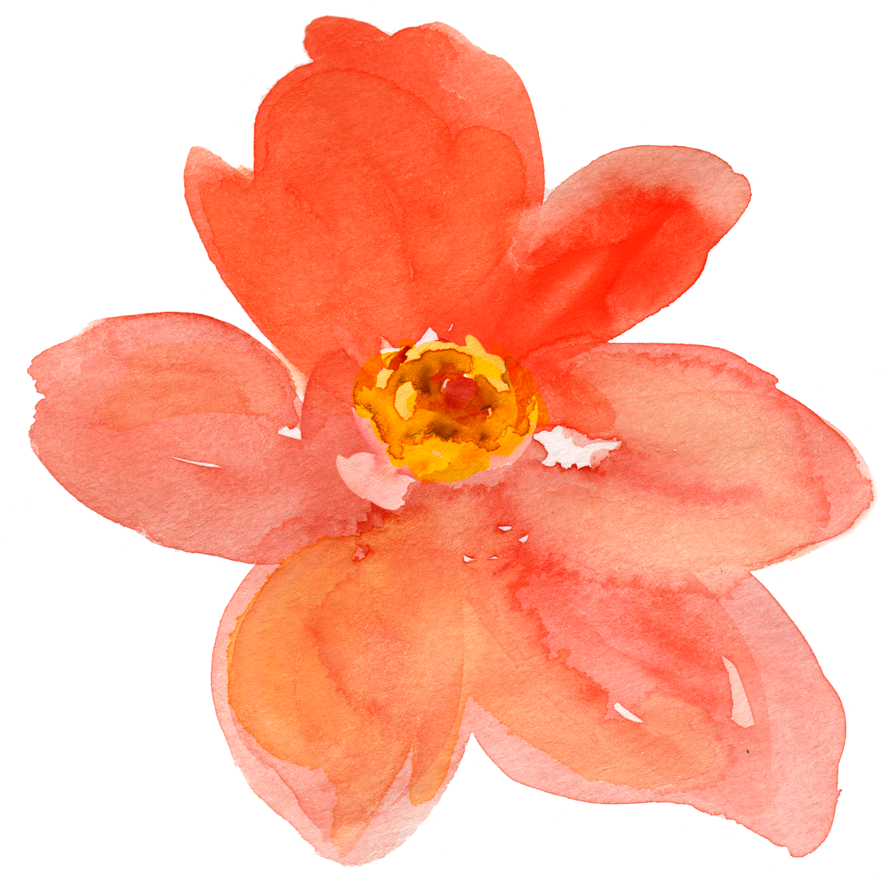 Flower Artwork Free Clipart HQ PNG Image