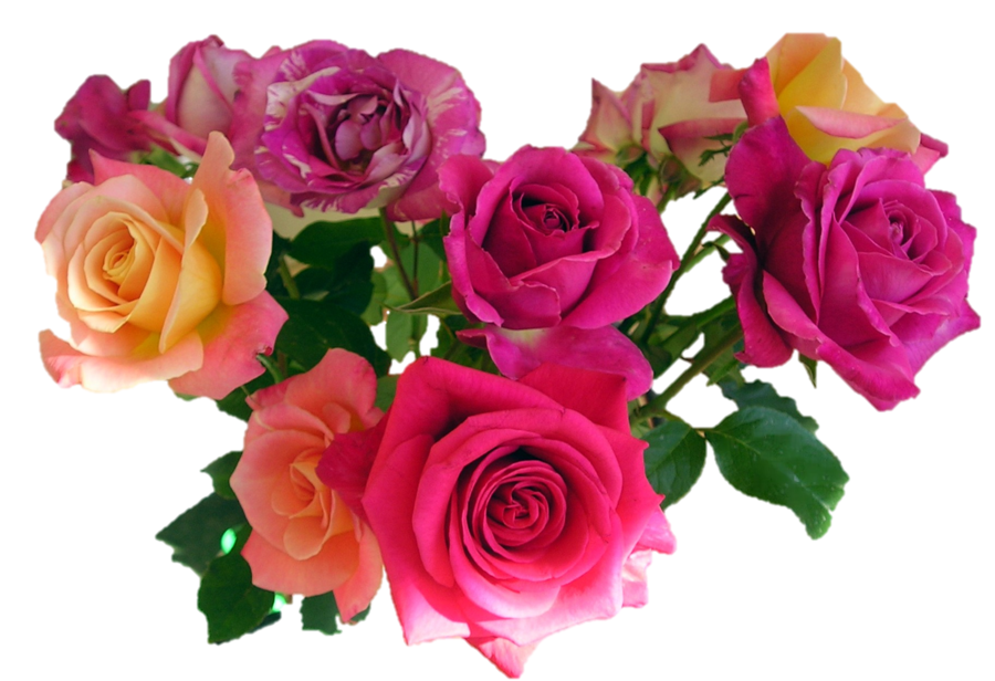 Pink Roses Flowers Bouquet Image PNG Image