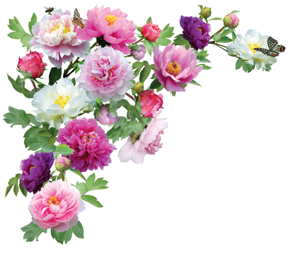 Flowers Transparent PNG Image