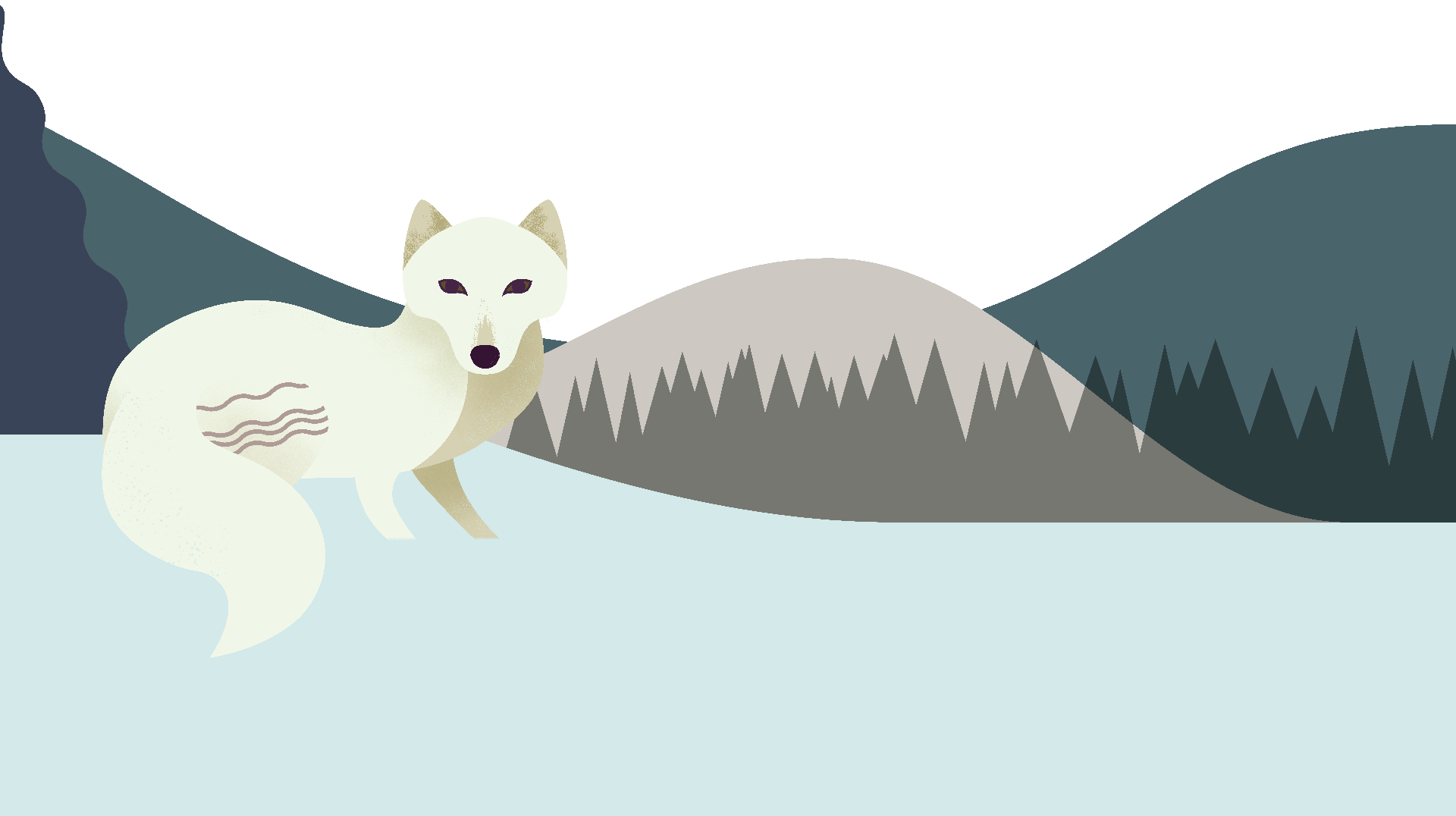 Arctic Fox Snow Download HD PNG Image