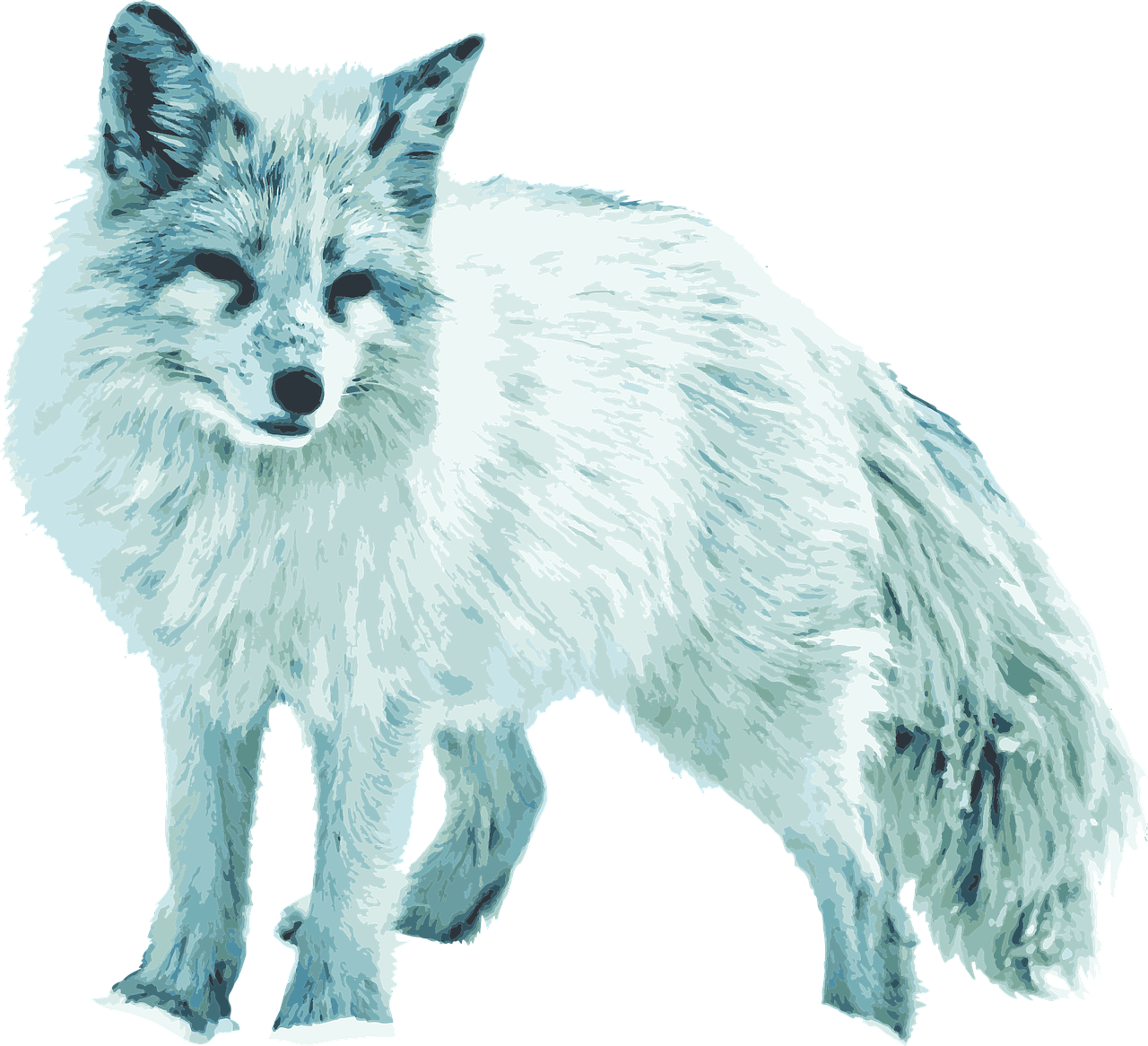 White Fox Arctic Download Free Image PNG Image
