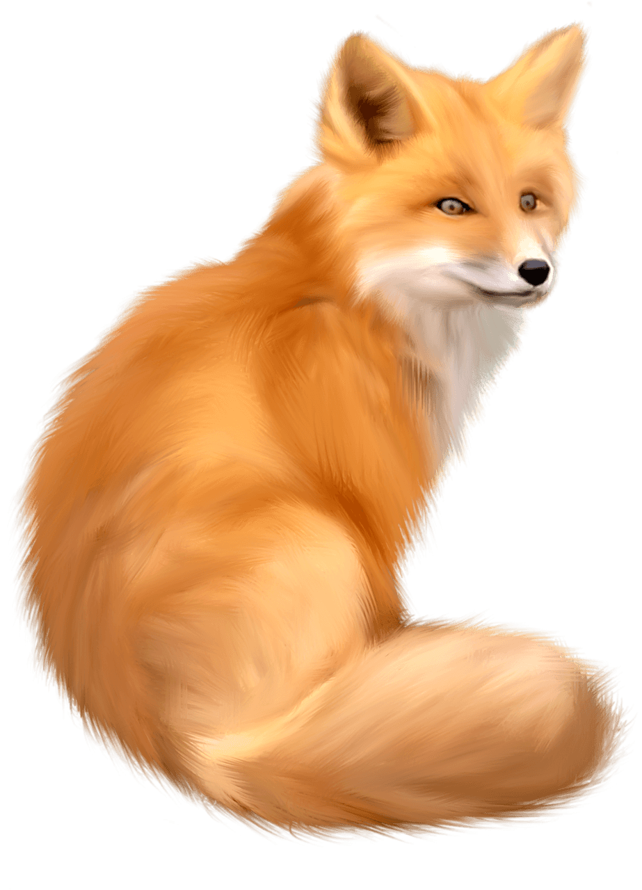 Fox Png Image Download Picture PNG Image