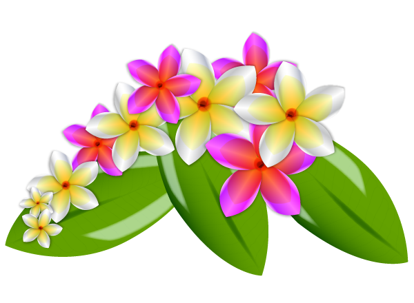 Plumeria Image PNG Image