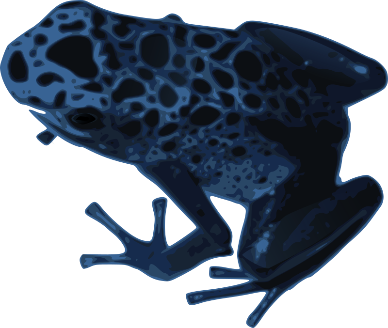 Azureus Frog PNG Image