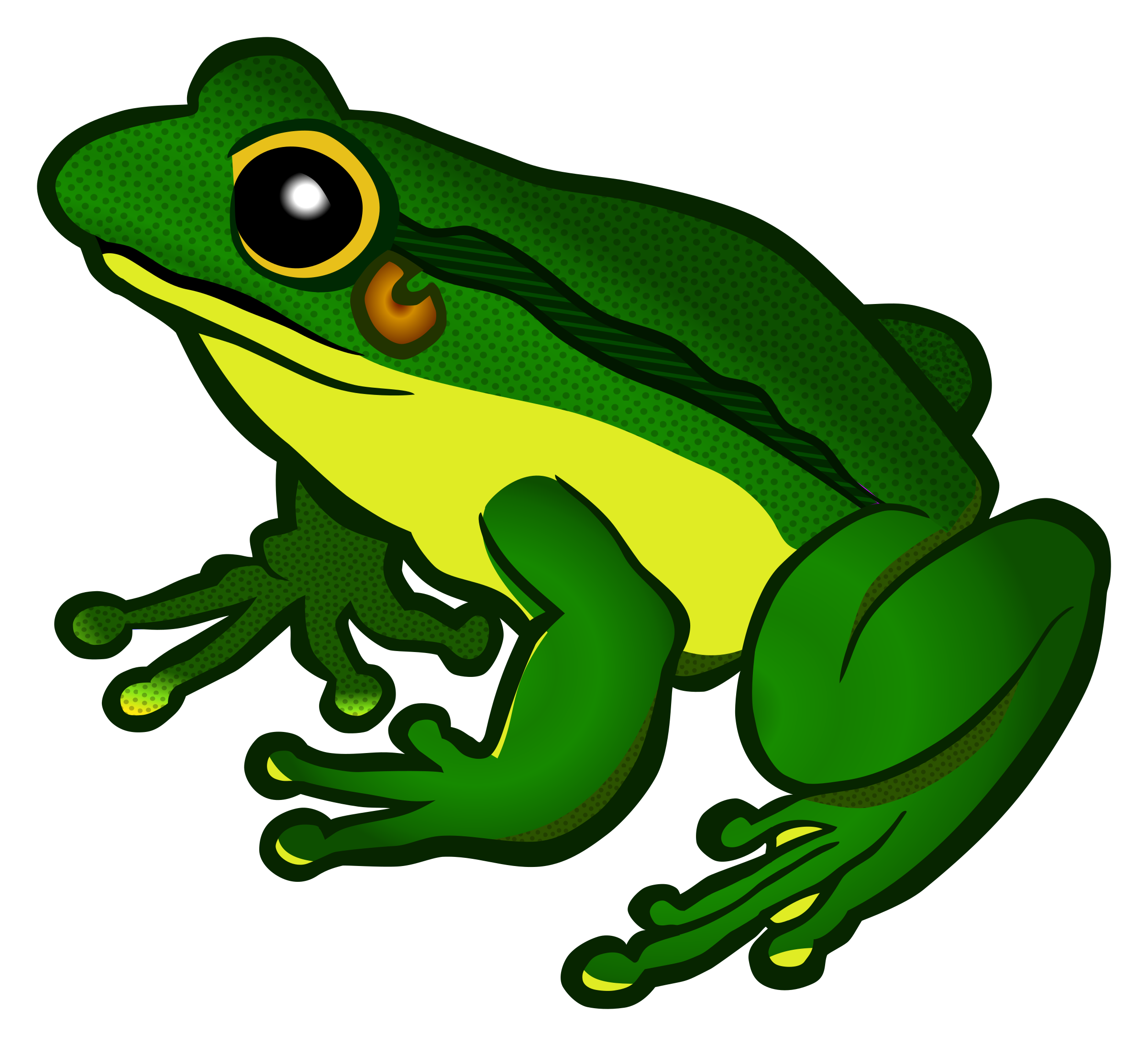 Frog Transparent Background PNG Image