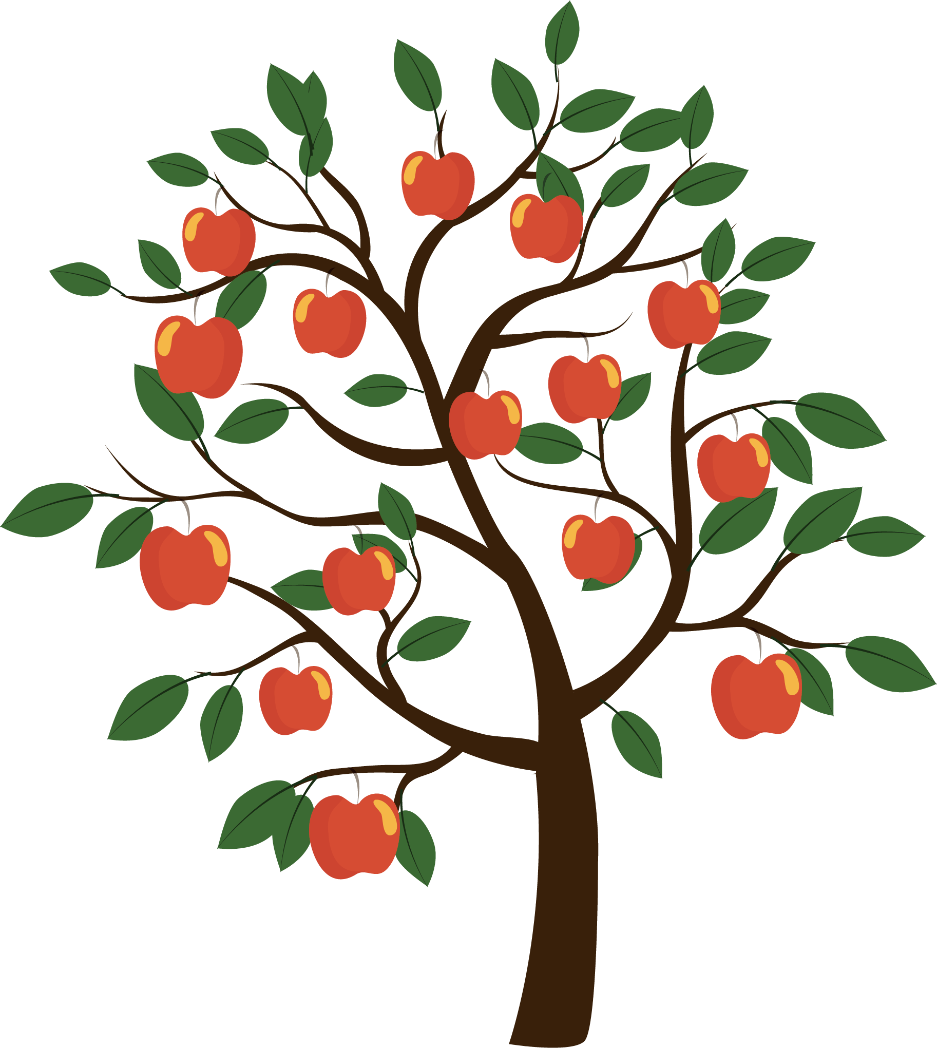 Vector Euclidean Fruit Tree Apple Free HQ Image PNG Image