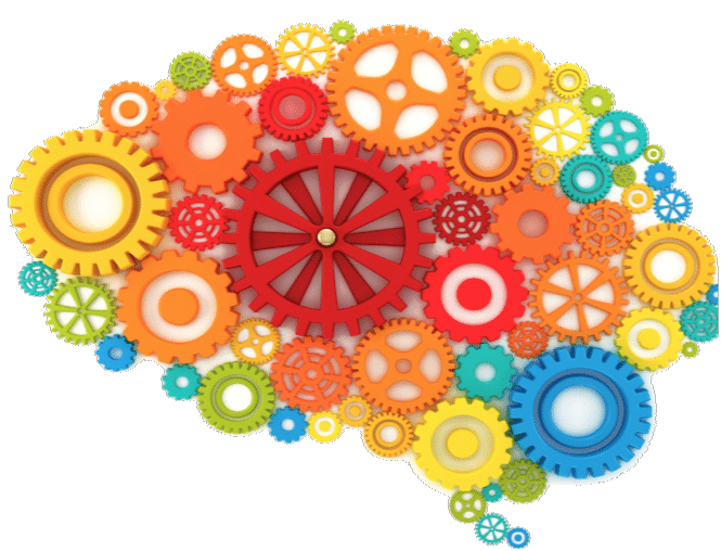 Brain Vector Colored Gears Download HQ PNG Image