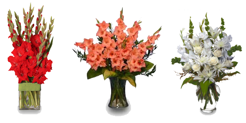 Gladiolus Clipart PNG Image