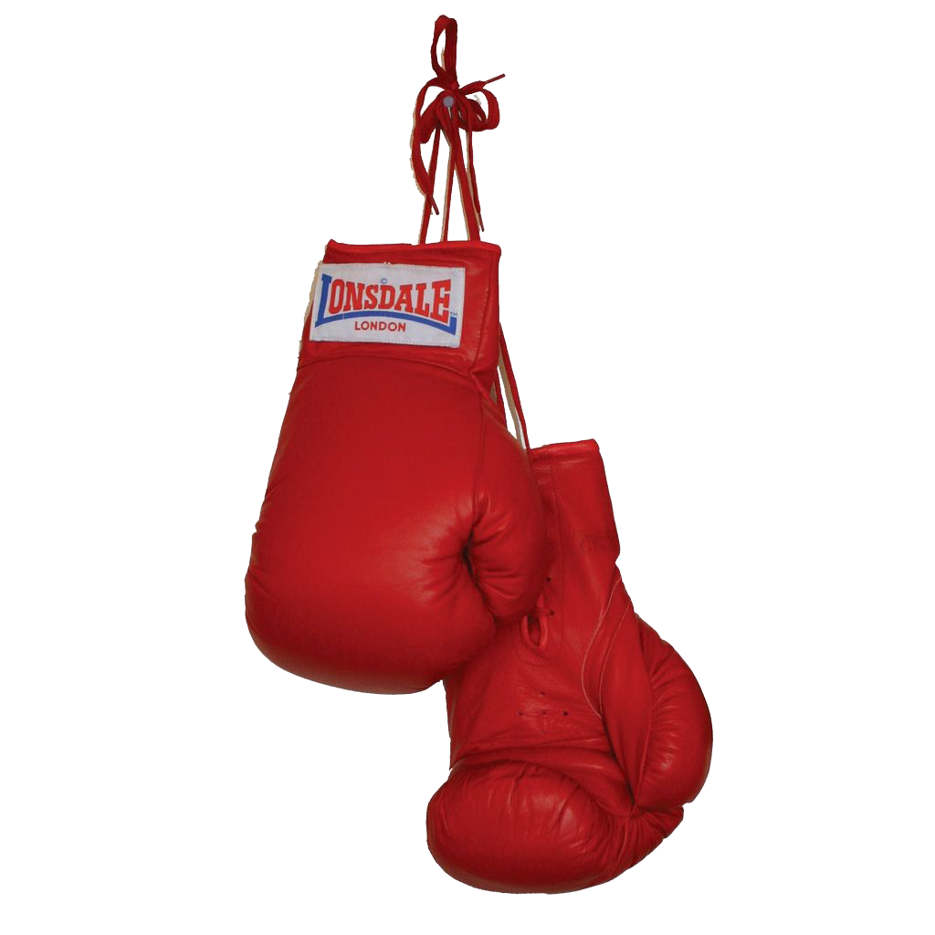 Boxing Gloves Clipart PNG Image