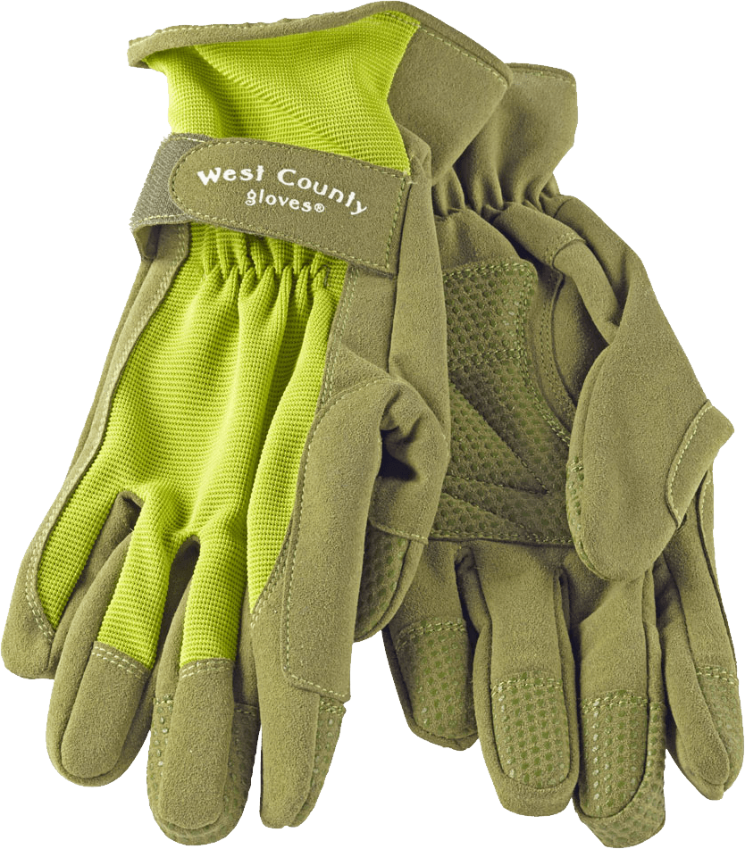 Gloves Png Image PNG Image