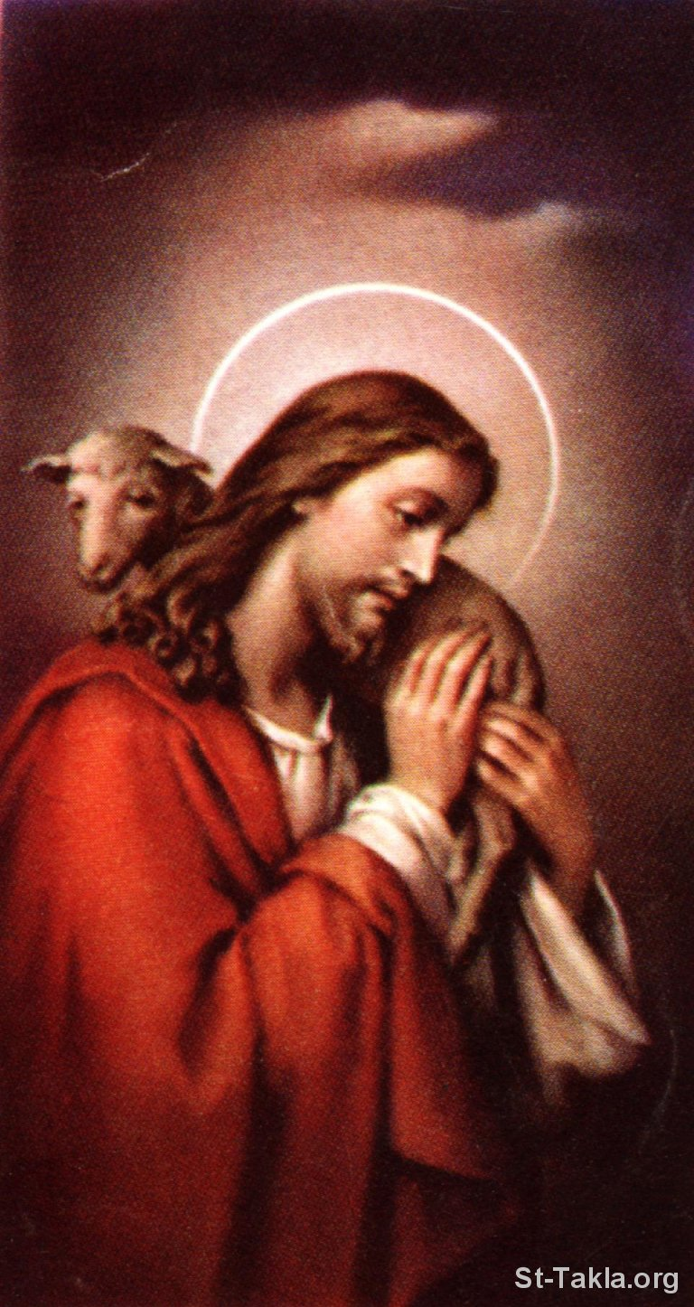 Shepherd Good Christ Holy Jesus The Card PNG Image