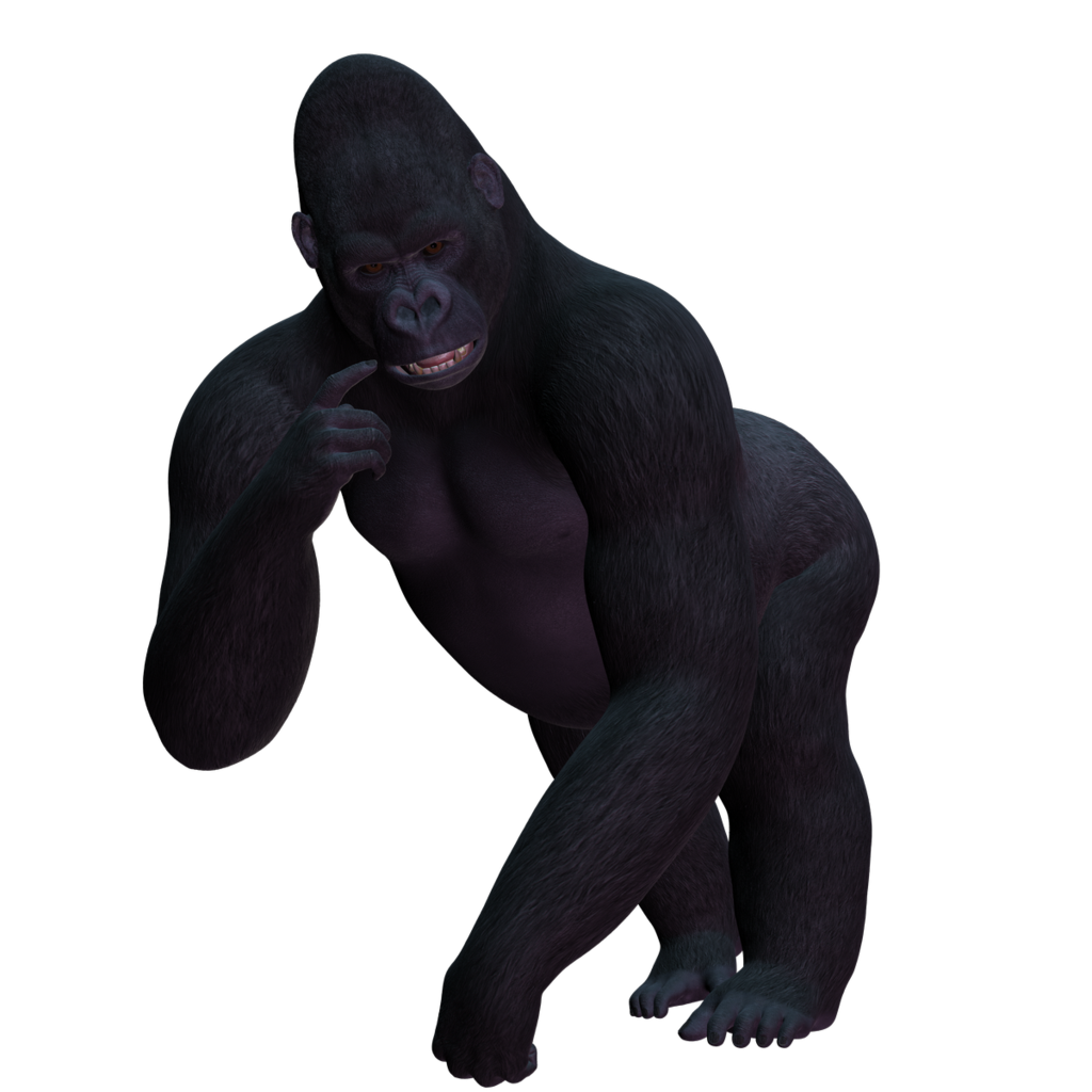 Gorilla Png Image PNG Image