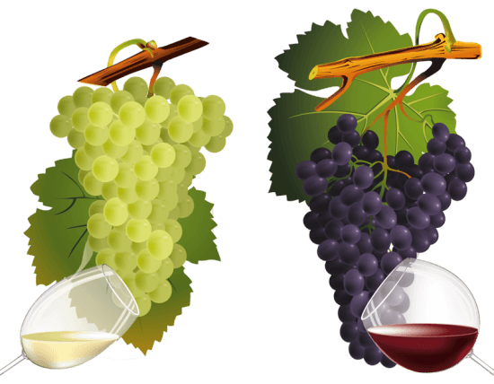 Grape Png Image Download Picture PNG Image