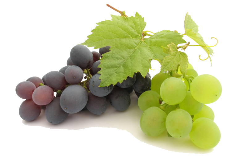 Grape Png File PNG Image