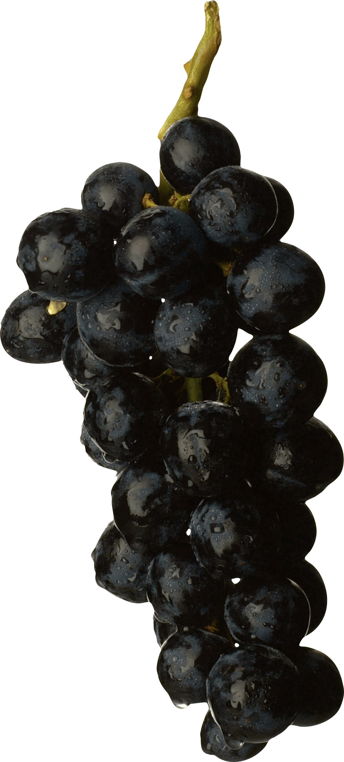 Black Grape Png Image PNG Image