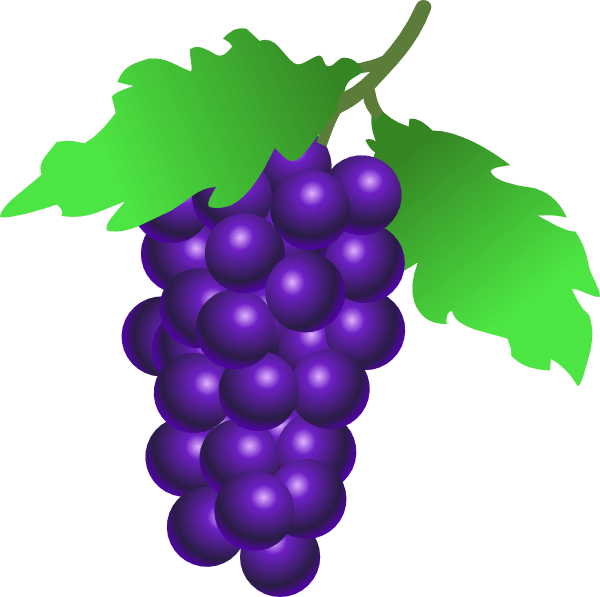 Grape Png Image Download Picture PNG Image