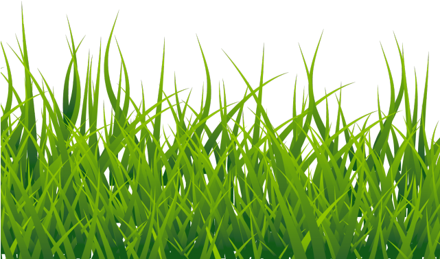 Vector Grass Free Photo PNG Image