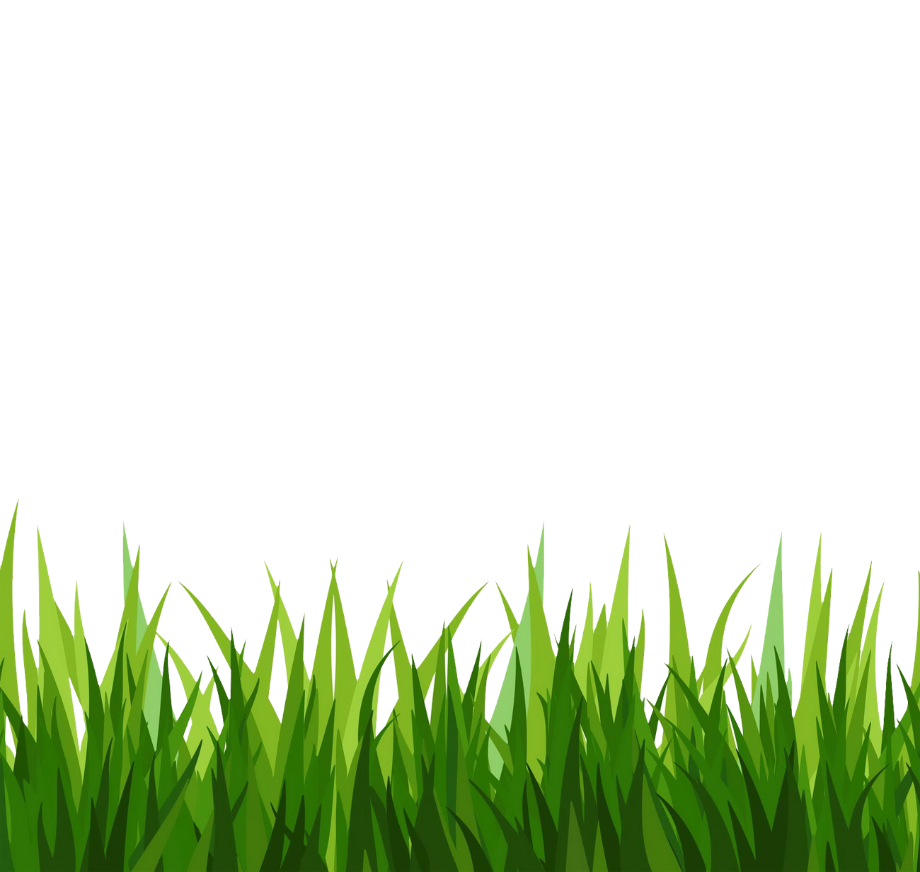 Vector Grass Natural Free Transparent Image HQ PNG Image