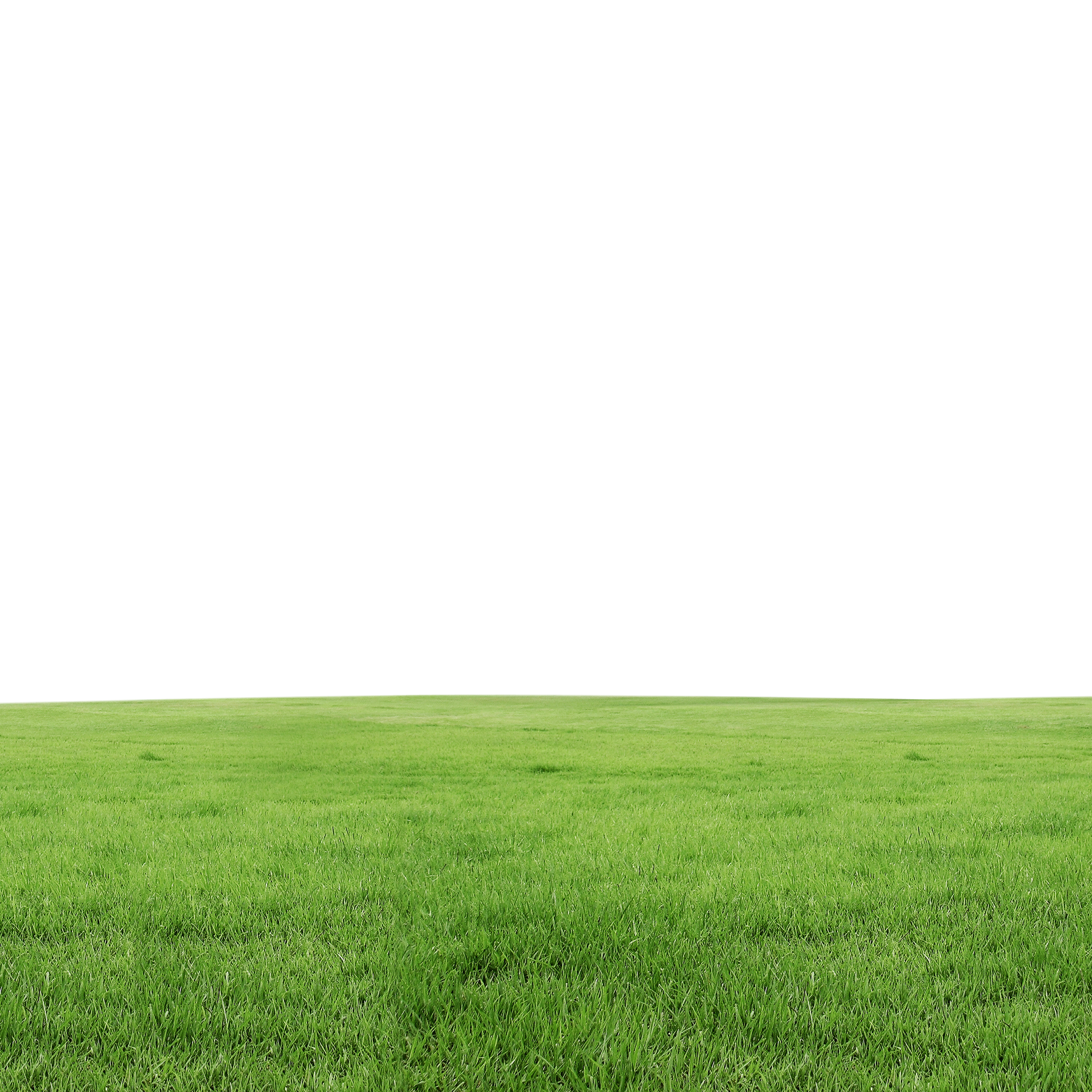 Lawn Grass PNG Download Free PNG Image