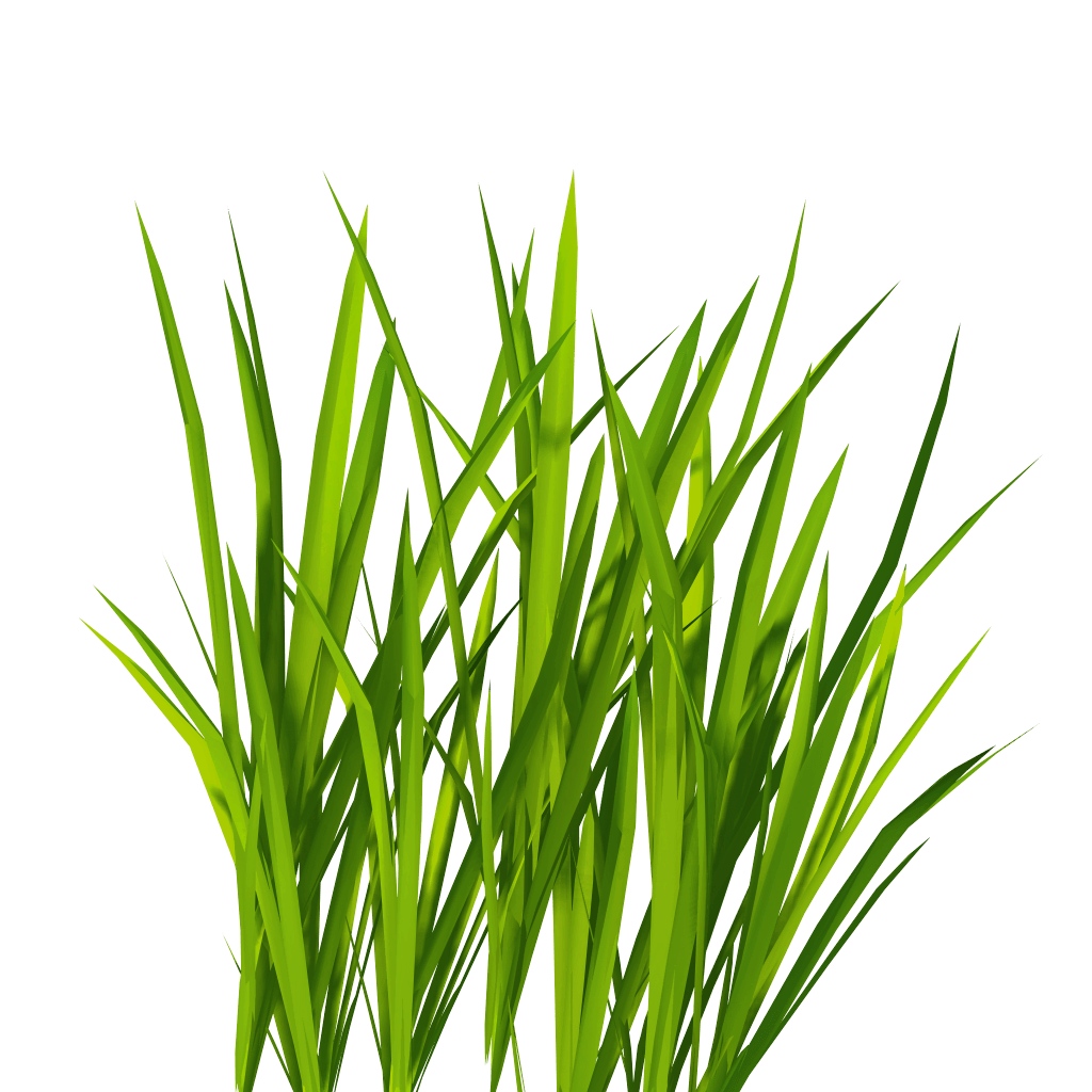 Grass Png Image Green Grass Png Picture PNG Image