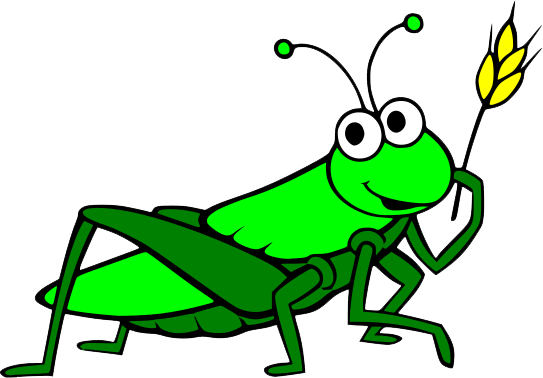 Grasshopper PNG Image