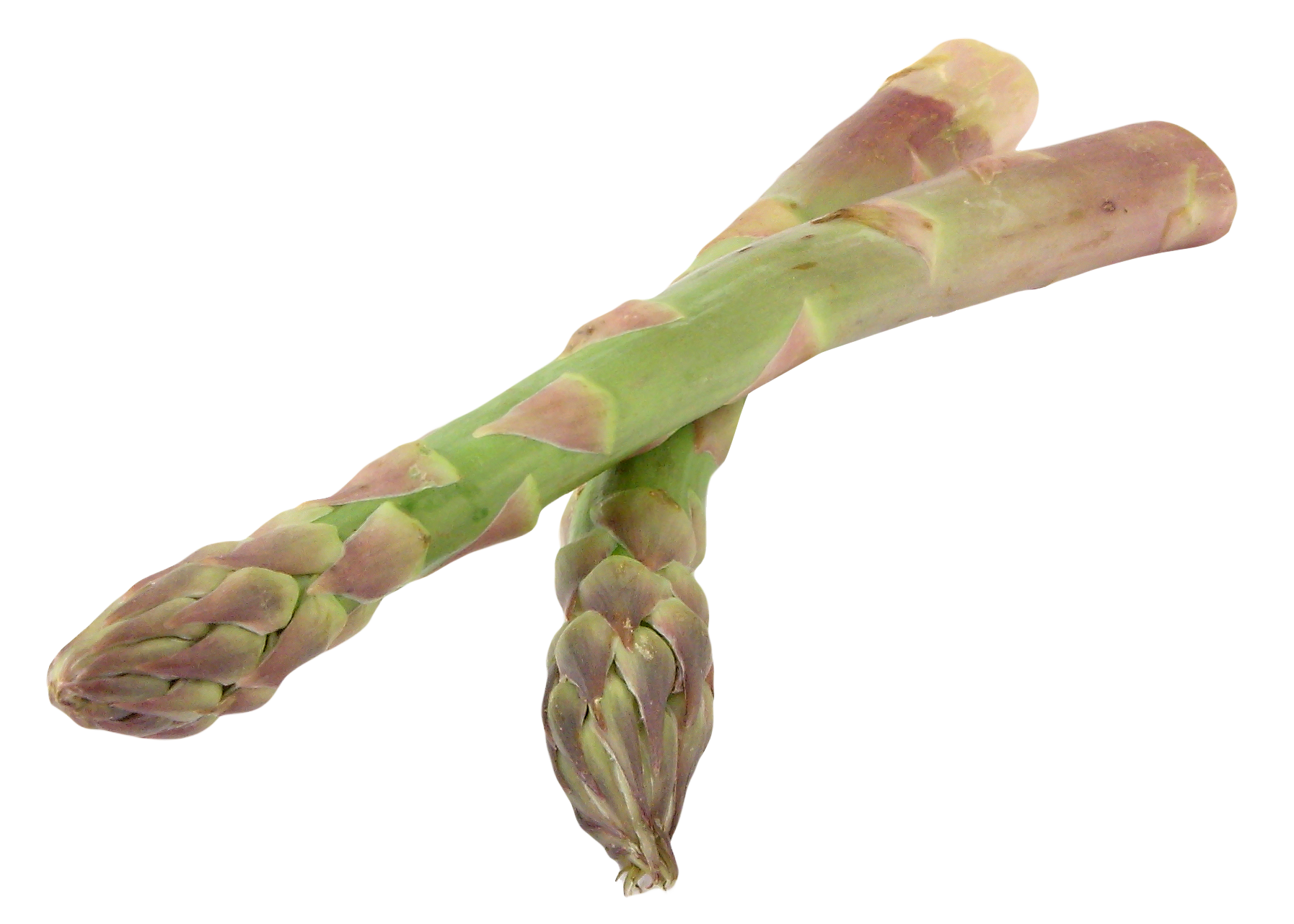 Asparagus Bundle PNG File HD PNG Image