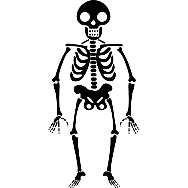 Halloween Skeleton Transparent PNG Image