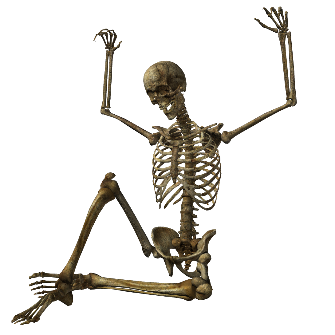 Halloween Skeleton PNG Image