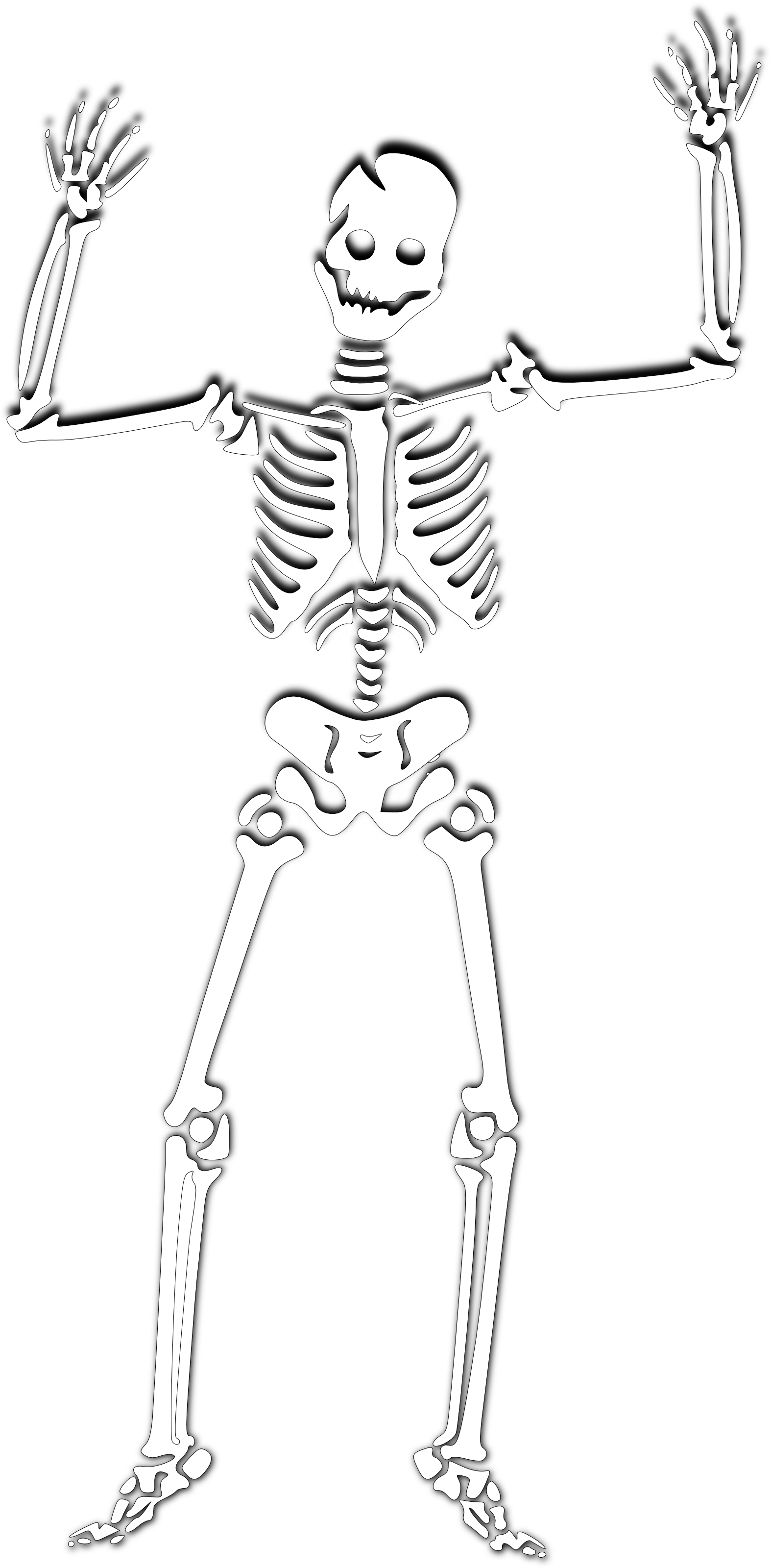 Halloween Skeleton Photos PNG Image