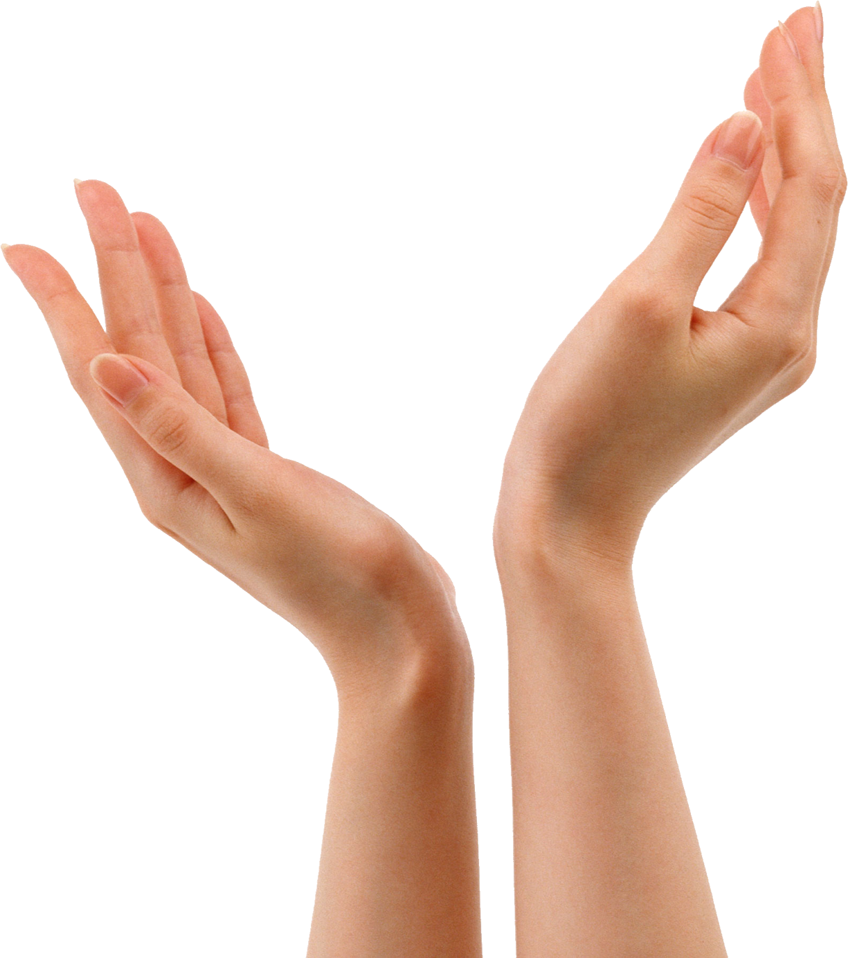 Hands Png 8 PNG Image