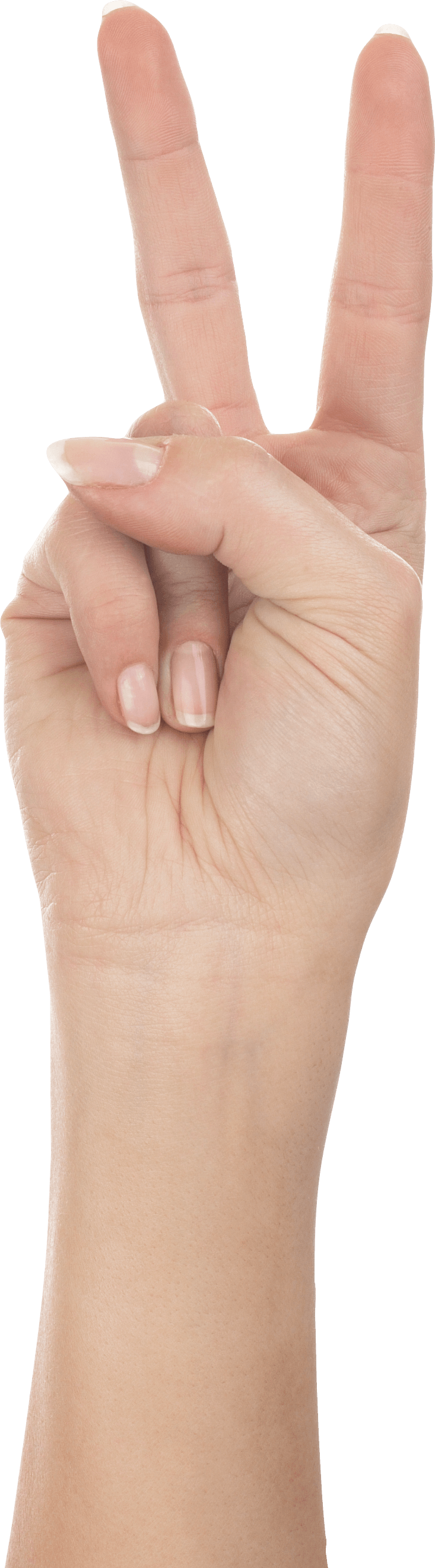 Hands Png Hand Image PNG Image