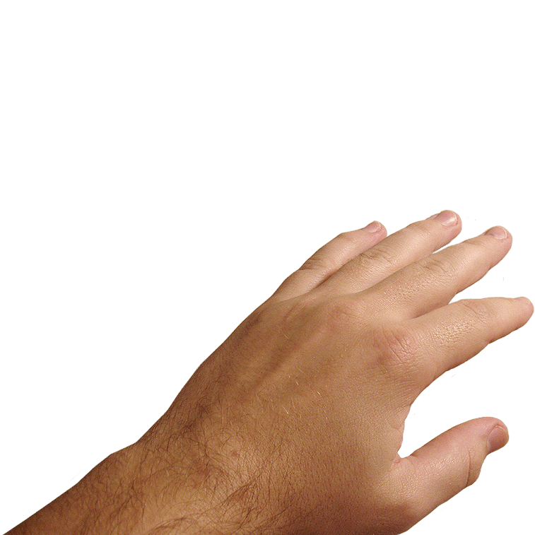 Hands Png Hand Image  PNG Image