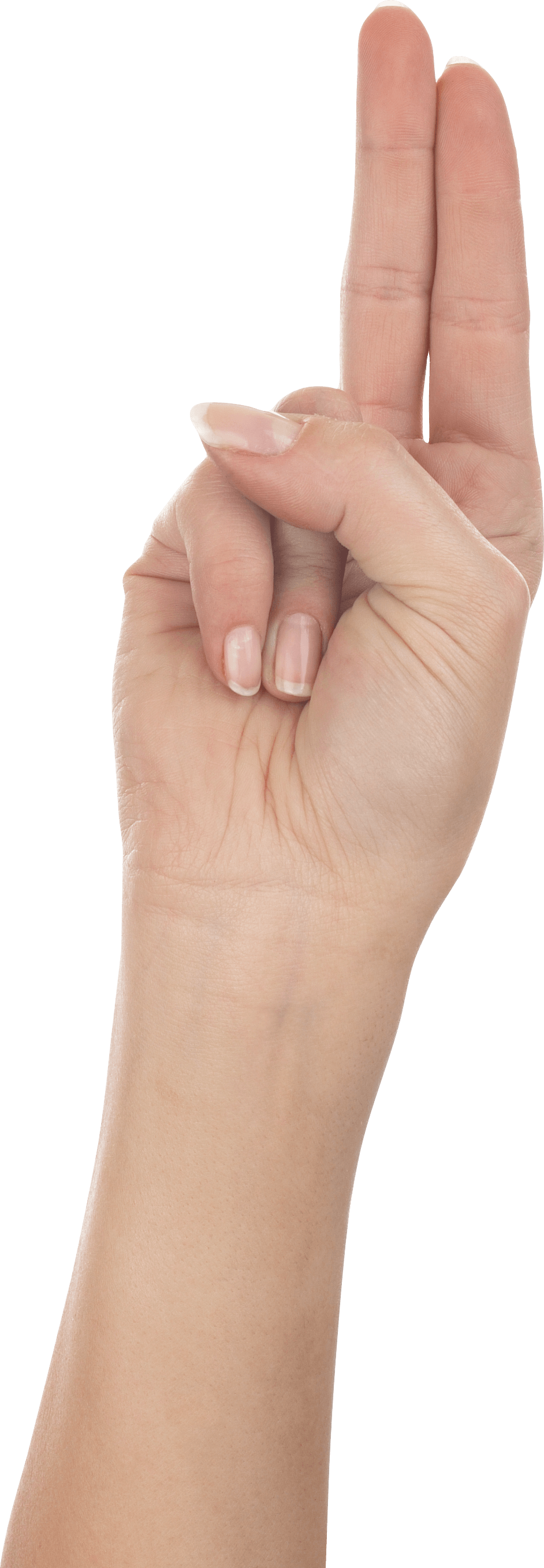 Hands Png Hand Image PNG Image