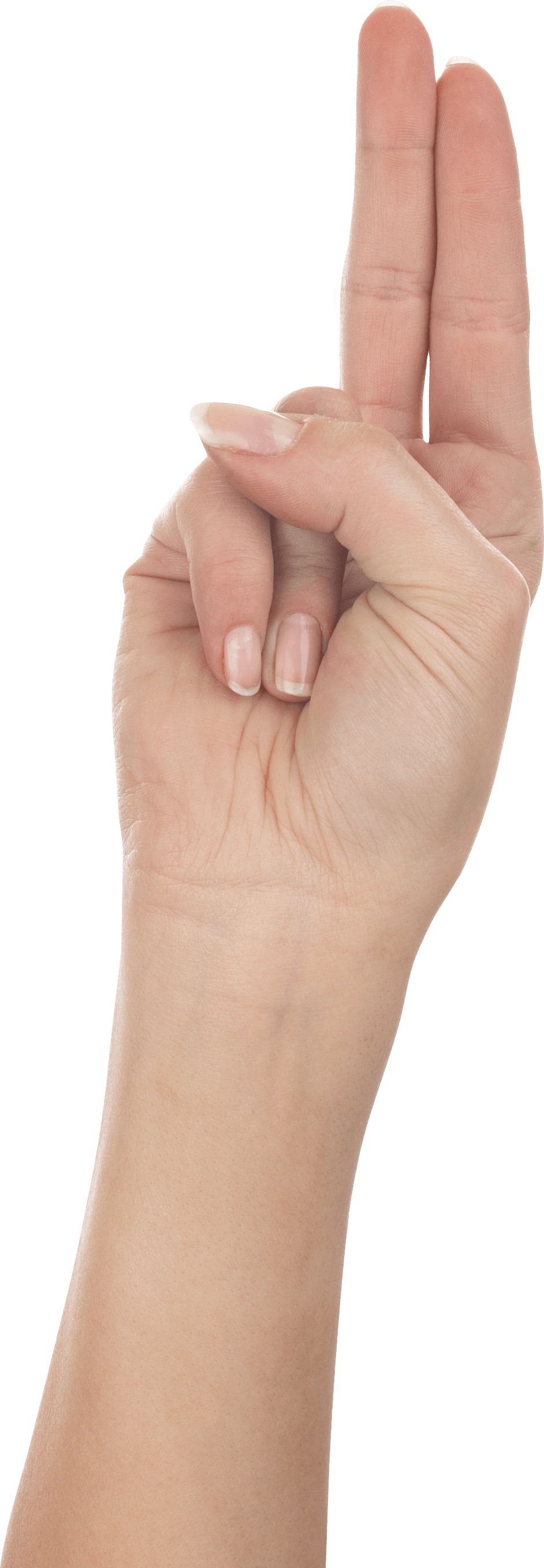 Hands Png Hand Image  PNG Image