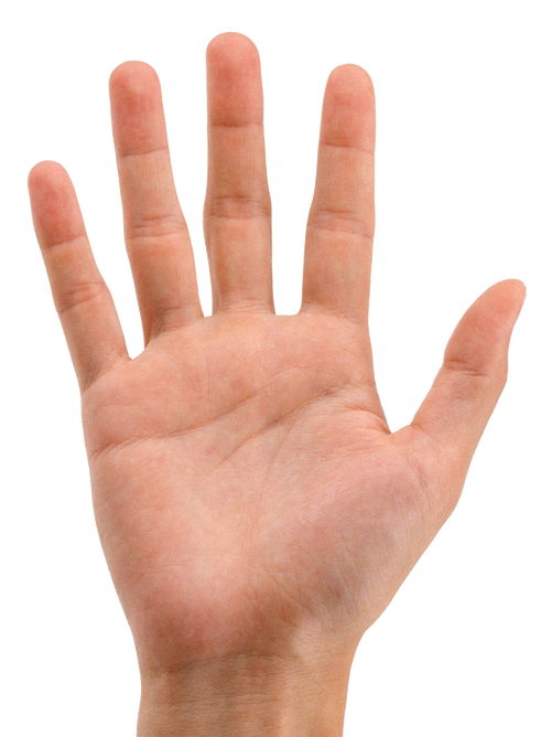 Hands Png 3 PNG Image