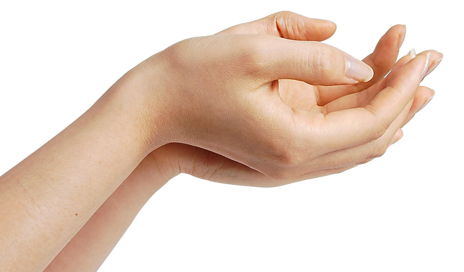 Hands Png 7 PNG Image