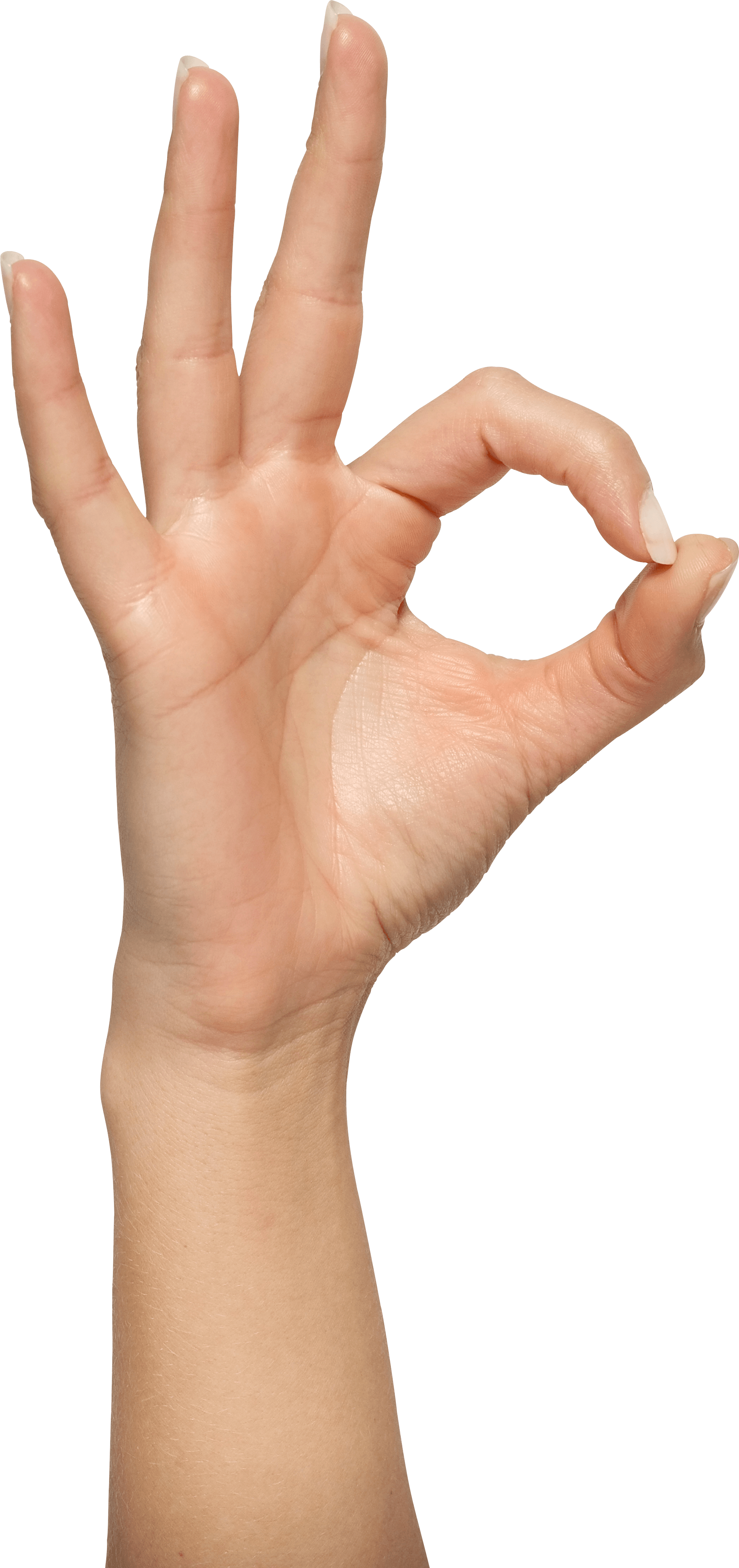 Hands Png Hand Image PNG Image