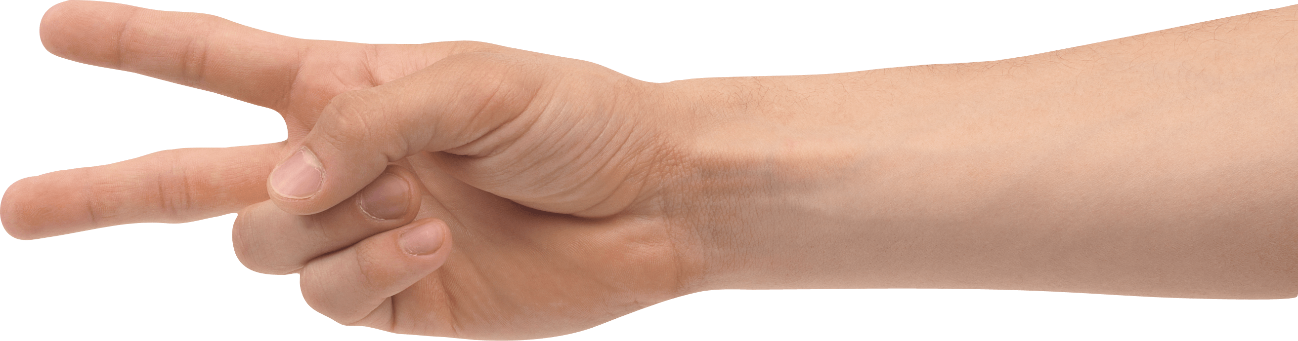 Hands Png Hand Image PNG Image