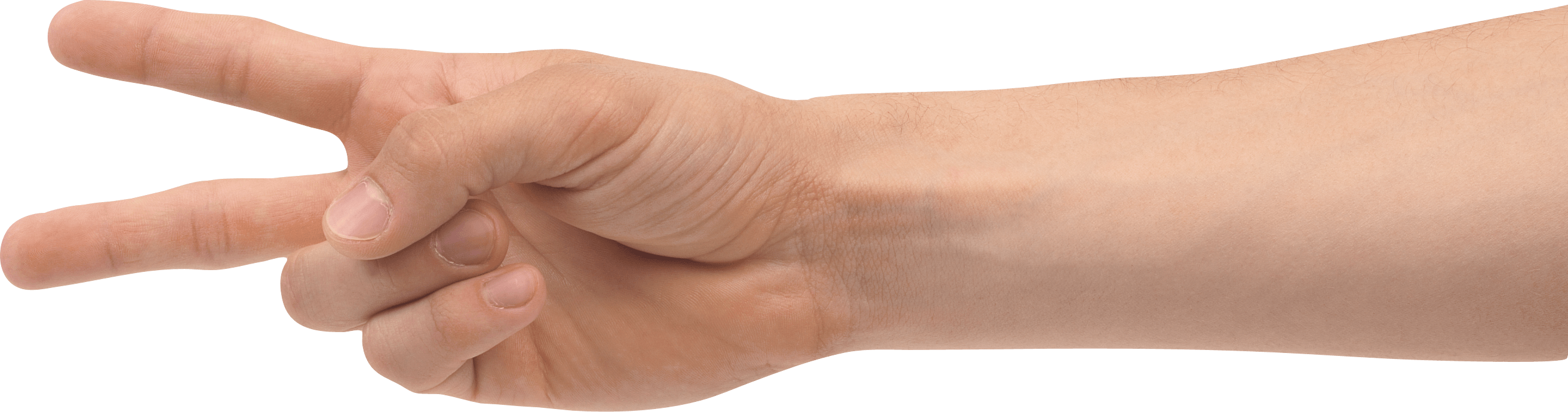 Hands Png Hand Image  PNG Image