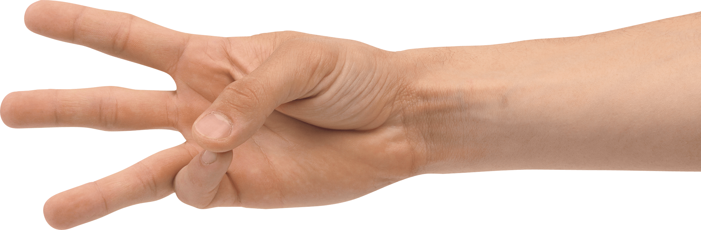 Hands Png Hand Image  PNG Image