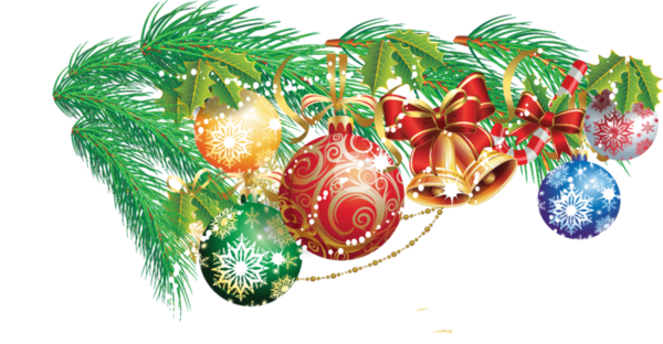 New Year Christmas Royal Message Evergreen Fir For Wishes PNG Image