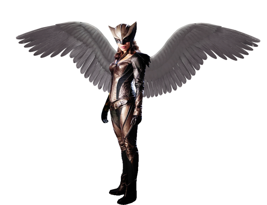 Hawkgirl Photos PNG Image