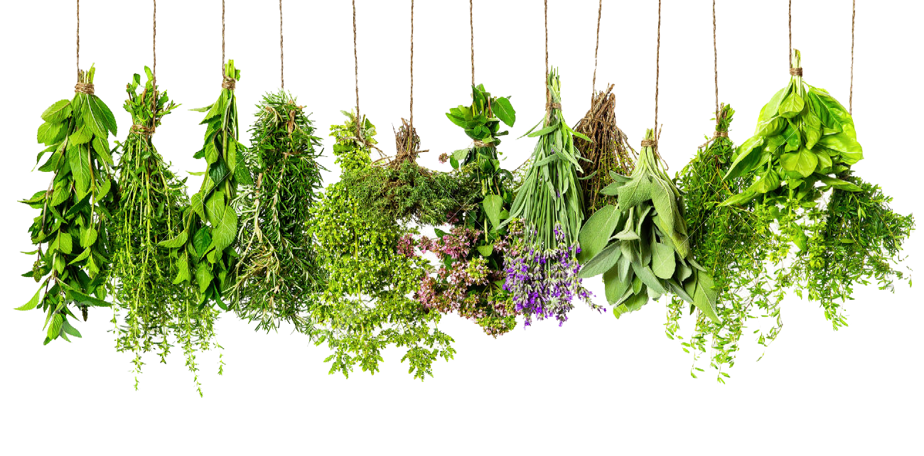 Herbs Hd PNG Image